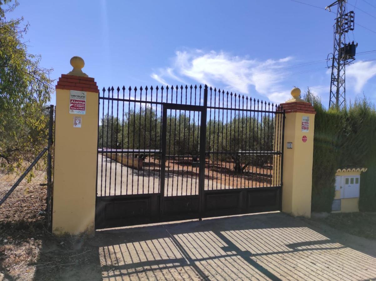 Los Abuelos Setenil De Las Bodegas ภายนอก รูปภาพ
