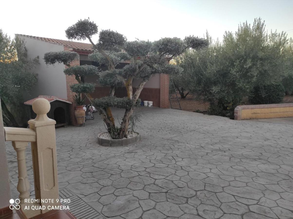Los Abuelos Setenil De Las Bodegas ภายนอก รูปภาพ