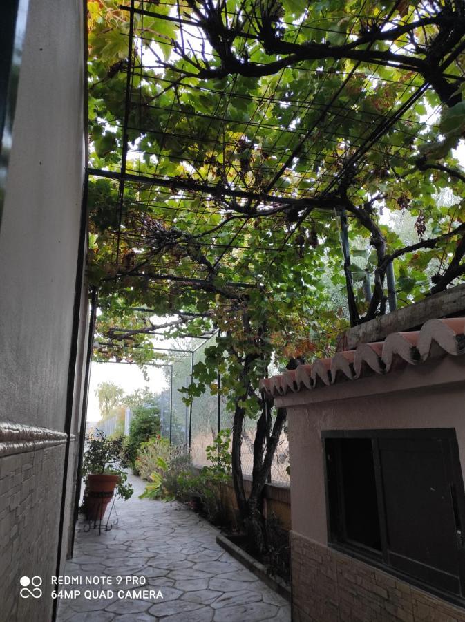 Los Abuelos Setenil De Las Bodegas ภายนอก รูปภาพ