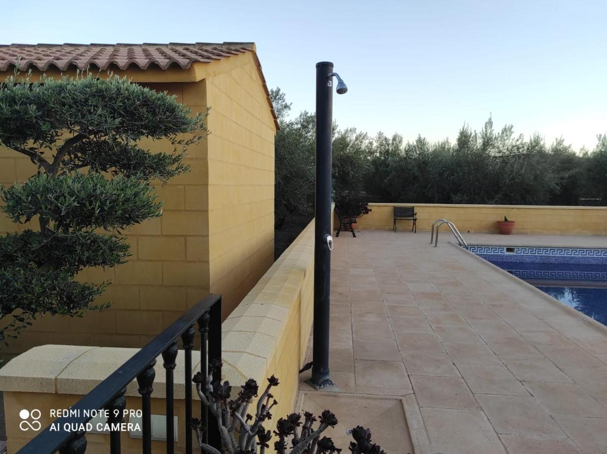 Los Abuelos Setenil De Las Bodegas ภายนอก รูปภาพ